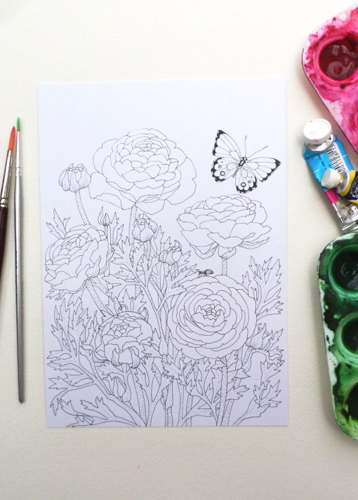Colouring-in postcards: set of 4 designs, A5 size