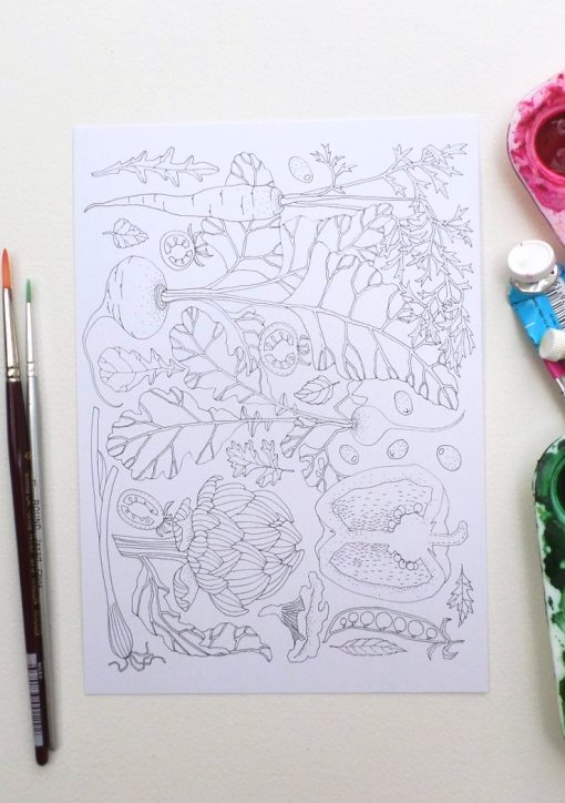 Colouring-in postcards: set of 4 designs, A5 size