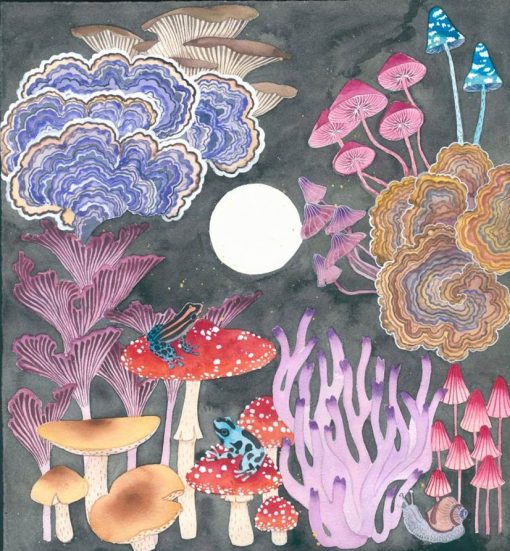 image of mushrooms and poison arrow frogs Original painting watercolour and gouache on paper