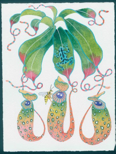 cursed pitcher plants. original watercolor painting on paper