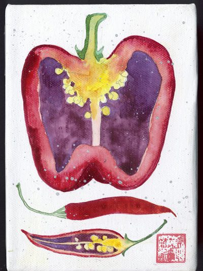 peppers. watercolour and pencil on canvas