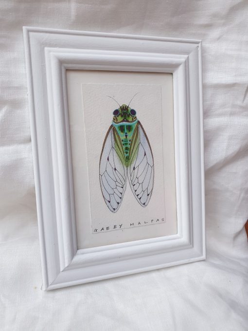 cicada watercolour and gouache on arches paper