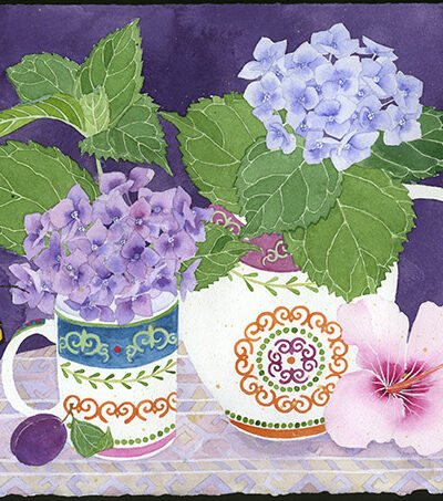 Hydrangeas in Maxwell & williams teawares watercolour and goauche on Arches paper