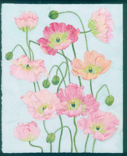 Springtime Happiness: Iceland poppies watercolour and gouache on Arches paper