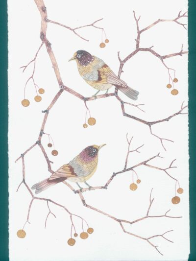 birds and berries in brown a small watercolour painting on paper