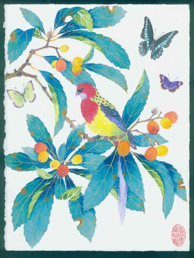 'Rosella in a teal loquat tree' Watercolour and gouache on arches paper