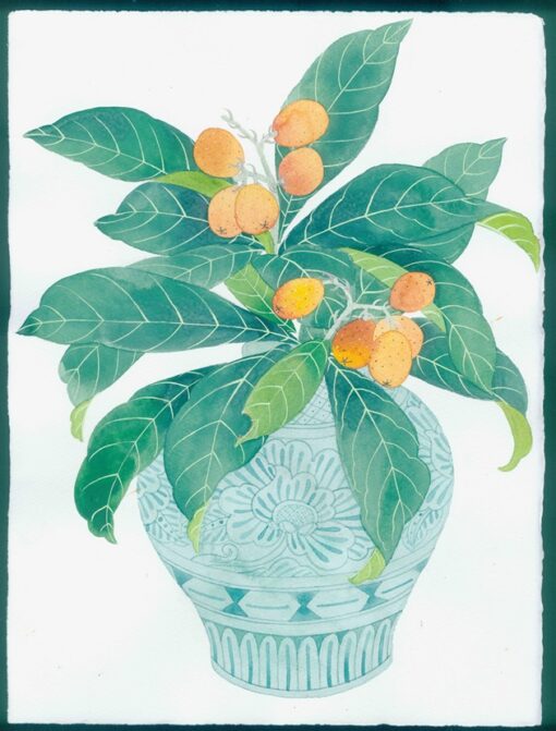 loquats in a celadon pot. Watercolour and gouache on arches paper