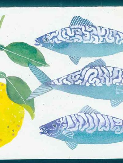 Mackerel and lemon. Watercolour and gouache on arches paper