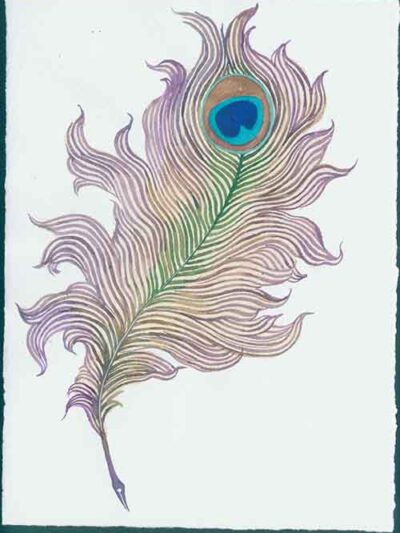 peacock feather quill watercolour and goucahe on Arches paper - greeting card design