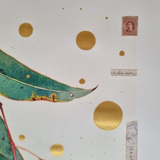 Enhanced archival one-off print: 'Eucalypt 1' A2 size - Image 2