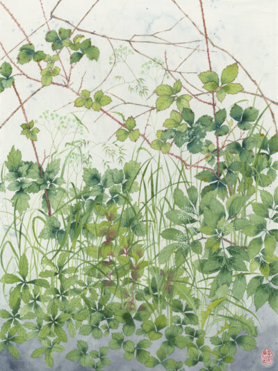 Blackberry brambles: Archival Print of an original watercolour painting on paper.