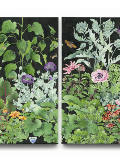 Sarahs Garden remembered_ diptych. Archival Print of an original watercolour painting on Canvas as a diptych. Cottage garden favourites, grown in NSW Australia