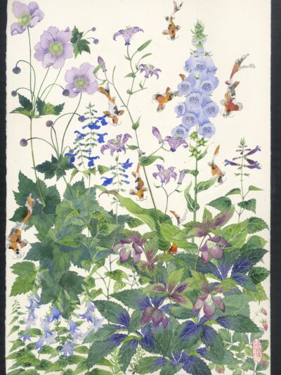 sarahs garden 16. Archival Print of an original watercolour painting on paper of Hillandale but with the addition of koi